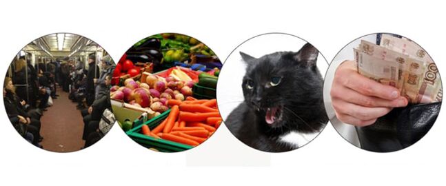 methods of parasite infection