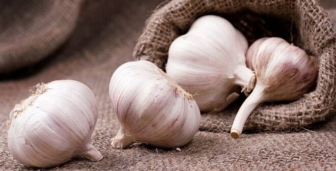 garlic for treating worms