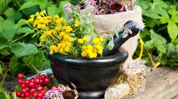 anti-worm plants